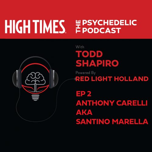 HIGH TIMES | The Psychedelic Podcast | Episode 2