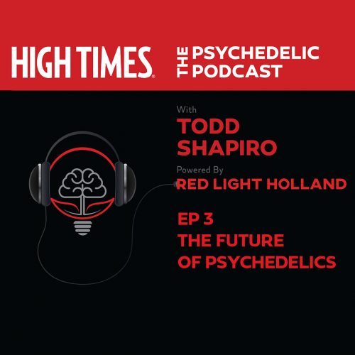 HIGH TIMES | The Psychedelic Podcast | Episode 3