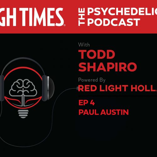HIGH TIMES | The Psychedelic Podcast | Episode 4