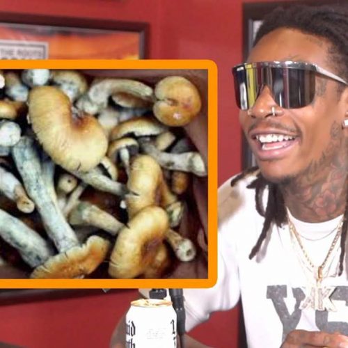 Wiz Khalifa On Getting Involved On The Business Side of Mushrooms + Psilocybin